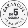 badge 1