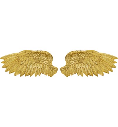 Zidni asesoar Angel Wings (2/Set)