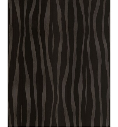 Tapeta Skin 300551